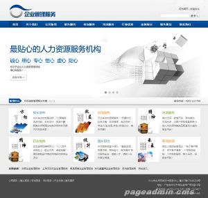 宽屏企业管理公司网站模板